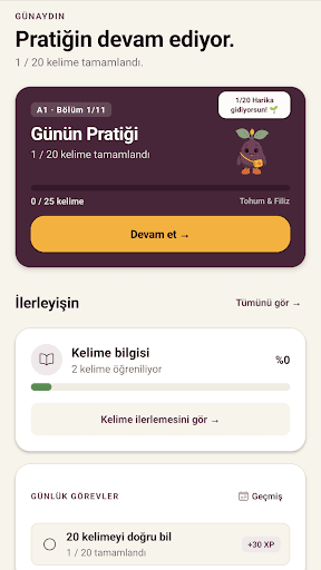 LingoRise Uygulama Ekranı