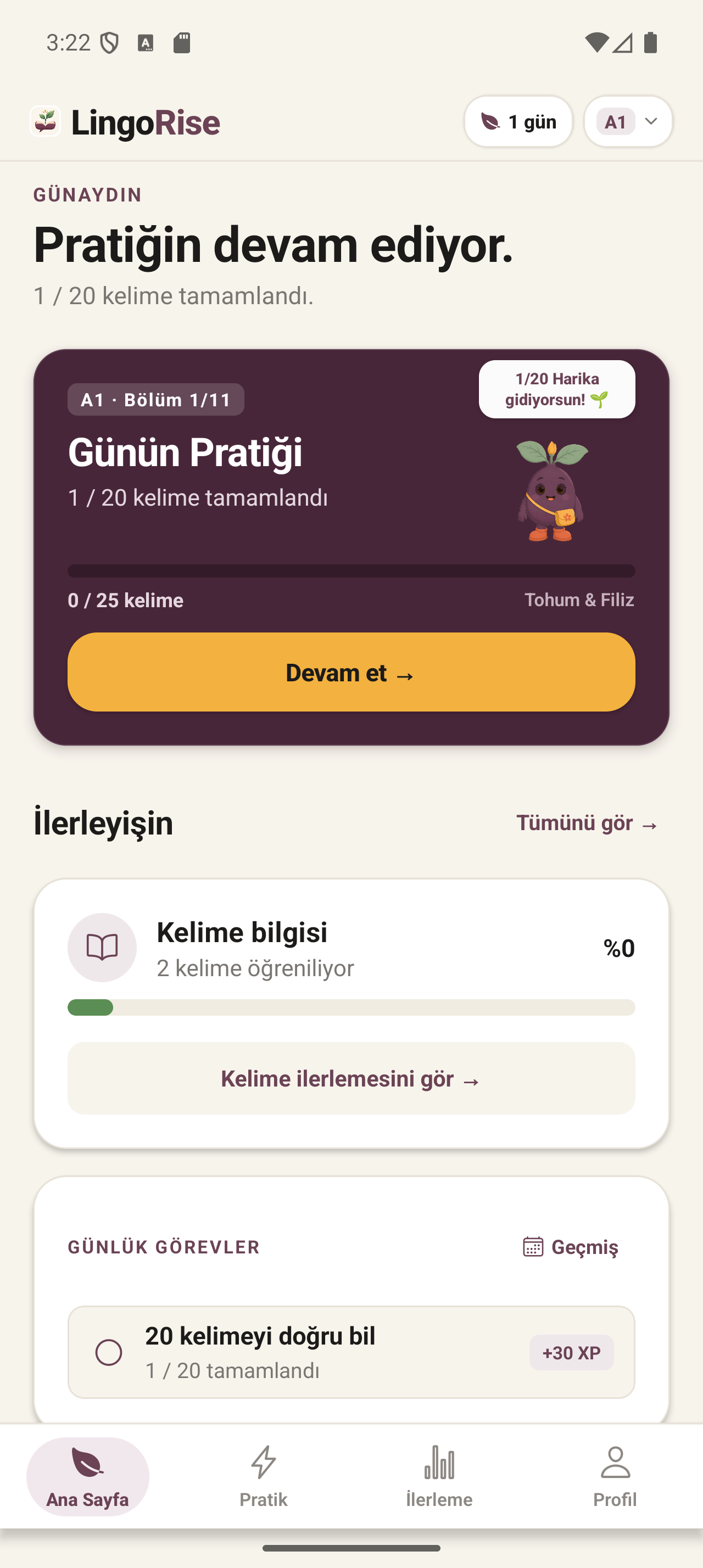 LingoRise